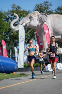 BIB: 
                            <button type="button" onclick="openModal(26544584)" class="btn btn-primary btn-sm float-right btn-popup" data-toggle="modal" data-target=".modal-high-quality">
                        <i class="fas fa-shopping-cart"></i> Add to Cart
                    </button>
                                            <button type="button" onclick="isThisMe(26544584, true)" class="btn btn-success btn-sm float-right btn-popup btn-isme hidden" data-toggle="tooltip" data-placement="bottom" title="นี่คือรูปของคุณใช่ไหม คลิกที่นี่เพื่อเอาเข้าอัลบั้ม">
                        <i class="fas fa-plus"></i> Add to album
                    </button>
                    <button type="button" onclick="isThisMe(26544584, false)" class="btn btn-warning btn-sm float-right btn-popup btn-isnotme hidden">
                        <i class="fas fa-ban"></i> Remove from album
                    </button>